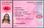 Albania Driving Licence Template