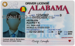 Alabama Drivers License (Front & Back) Template (V2)
