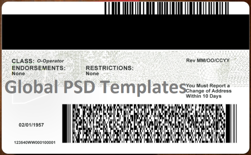 Arizona Driver License (Front & Back) Template  v2 - Image 2