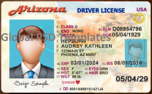 Arizona Driver License (Front & Back) Template  v2