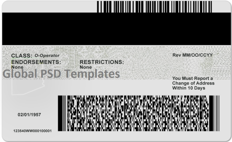 Arizona Driver License (Front & Back) Template - Image 2