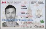Canada ID Card Template(PRC)