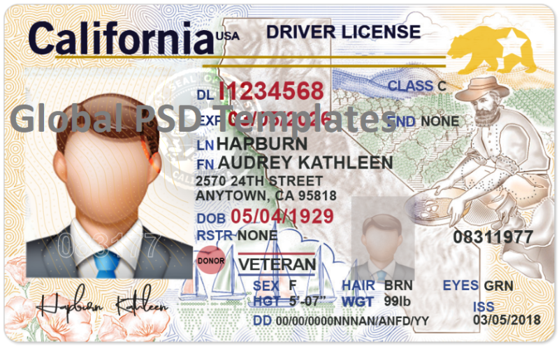 California Driver License Template(V2)