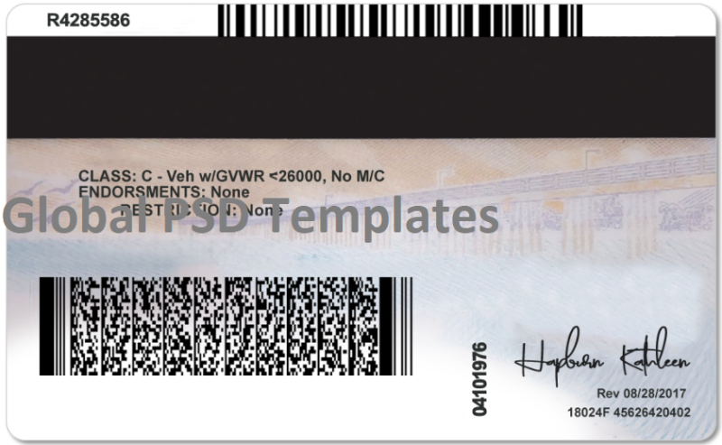 California Driver License Template(V2) - Image 5