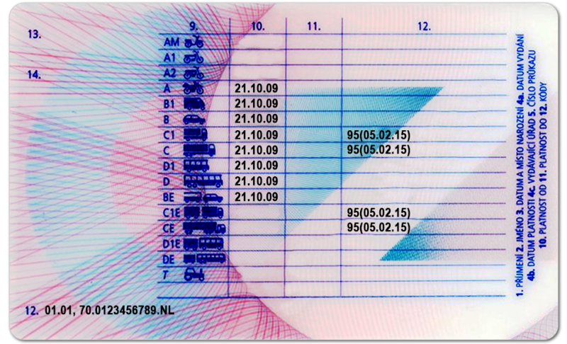 Czech Republic, Czechia DL (Front & Back) Template - Image 2