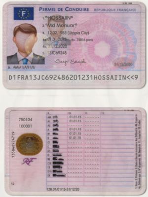 France Driving Licence Template (scan)