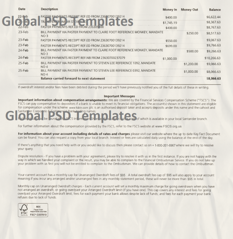 Payoneer ban First Century Bank Statement Template - Image 2