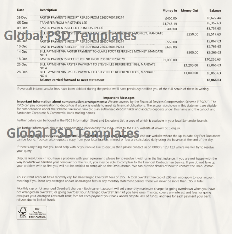 Payoneer bank Wire card bank statement Template - Image 2