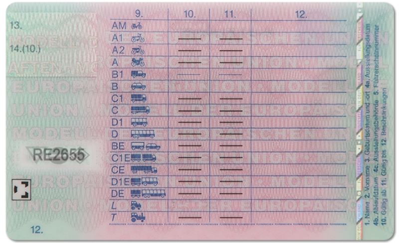 Germany Driving Licence (Front & Back) Template - Image 2