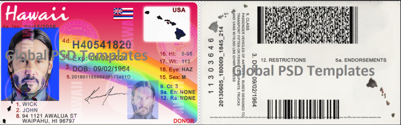 Hawaii Driver License New & old Template