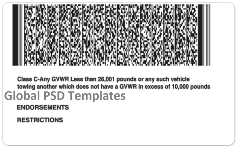 Wyoming Driver License(Front & Back) Template - Image 2
