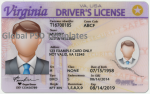 Virginia Driver License(Front & Back) Template