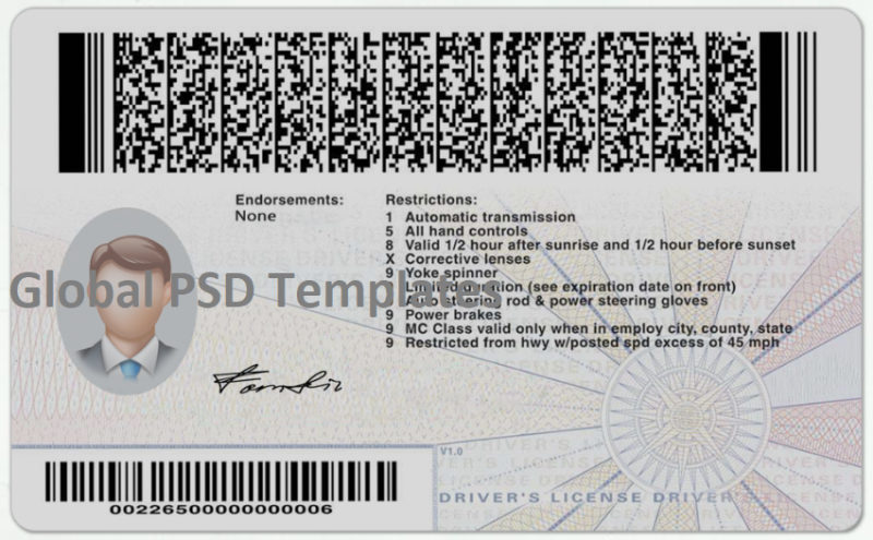Virginia Driver License(Front & Back) Template - Image 2