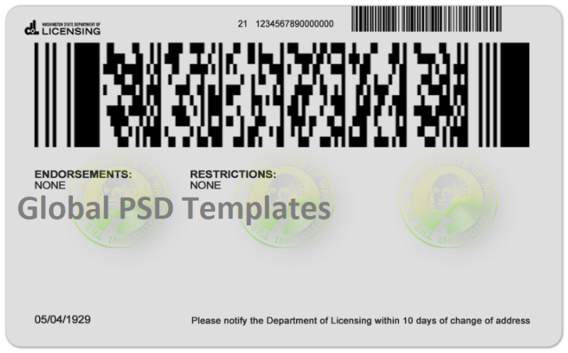 Washington Driver License(Front & Back) Template - Image 2