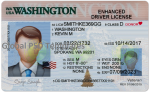 Washington Driver License(Front & Back) Template