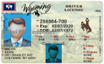 Wyoming Driver License(Front & Back) Template