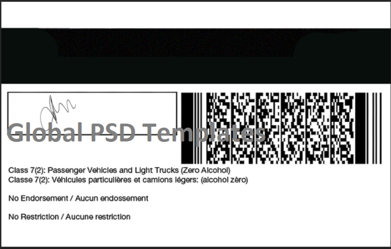 Canada Ontario Drivers License Template - Image 7