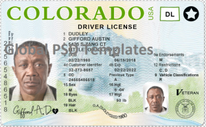 Colorado Drivers License Template (Front & Back)