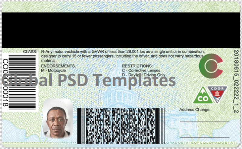 Colorado Drivers License Template (Front & Back) - Image 2