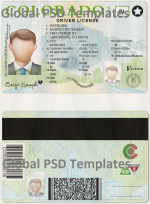 Colorado Drivers License Template (scan)