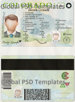 Colorado Drivers License Template (scan)