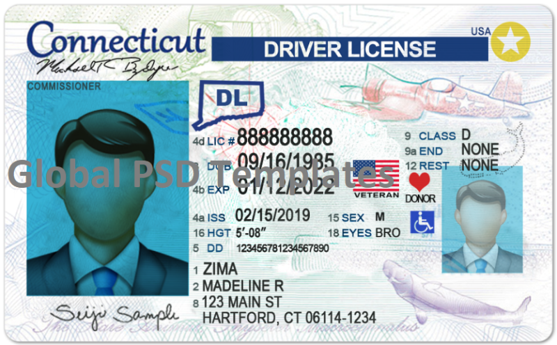 Connecticut Drivers License Template (Front & Back)