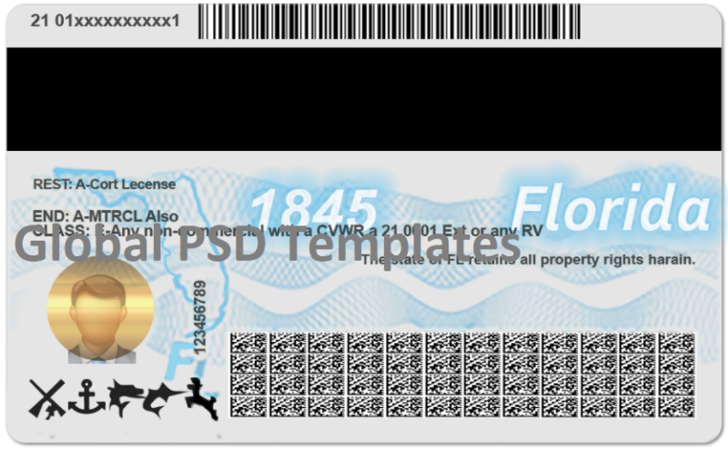 Florida Drivers License Template (Front & Back) - Image 2