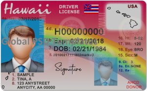 Hawaii Drivers License Template (Front & Back)