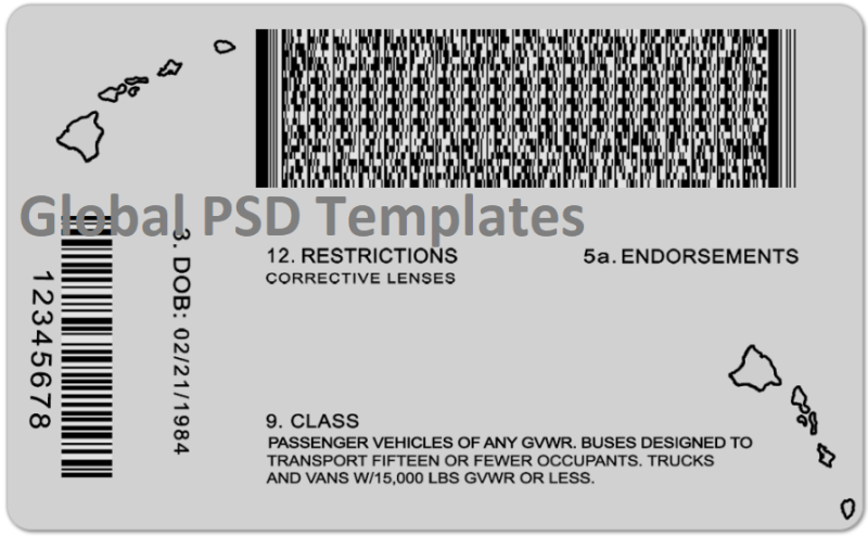 Hawaii Drivers License Template (Front & Back) - Image 2