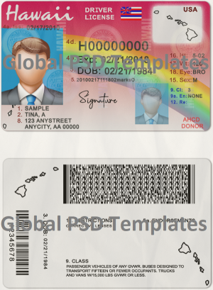 Hawaii Drivers License Template (scan)