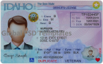 Idaho Drivers License Template (Front & Back)