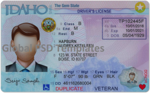 Idaho Drivers License Template (Front & Back)