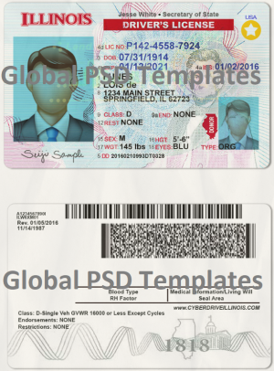 Illinois Drivers License Template (scan) V2