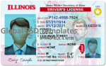 Illinois Drivers License Template (Front & Back) V2