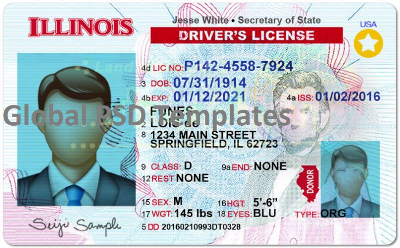 Illinois Drivers License Template (Front & Back) V2