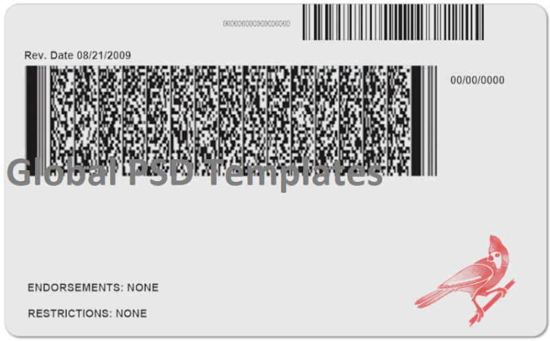 Indiana Drivers License Template (Front & Back) V1 - Image 2