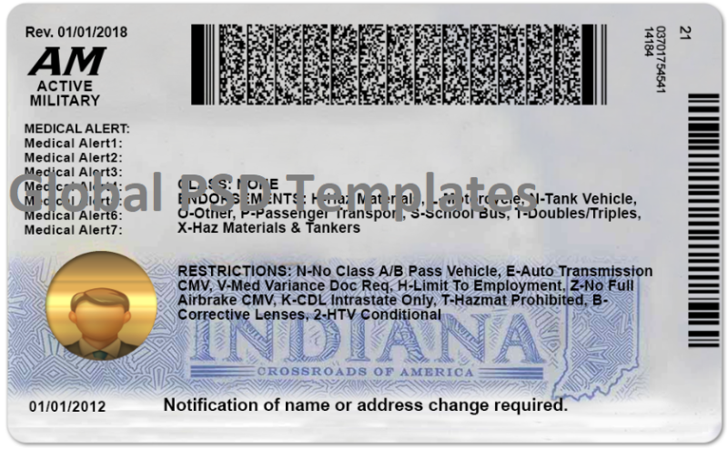 Indiana Drivers License Template (Front & Back) V2 - Image 2