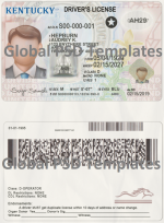 Kentucky Drivers License Template (scan)