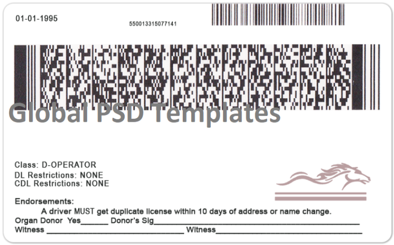 Kentucky Drivers License Template (Front & Back) - Image 2
