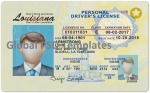 Louisiana Drivers License Template (Front & Back)