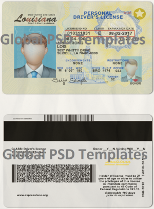 Louisiana Drivers License Template (scan)