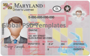 Maryland Drivers License Template (Front & Back)