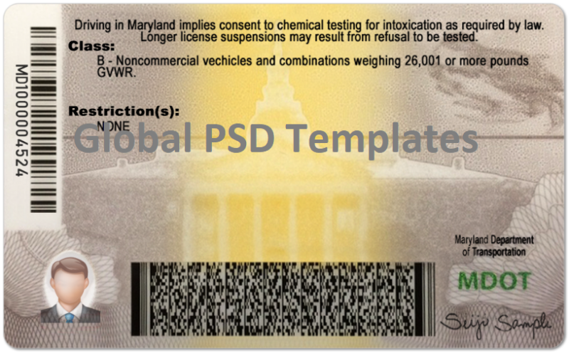 Maryland Drivers License Template (Front & Back) - Image 2