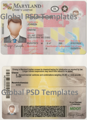 Maryland Drivers License Template (scan)