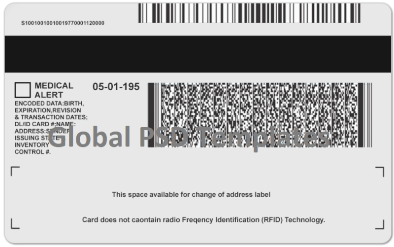 Michigan Drivers License Template (Front & Back) - Image 2