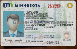 Minnesota Drivers License Template (Front & Back)