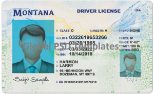 Montana Drivers License Template (Front & Back)