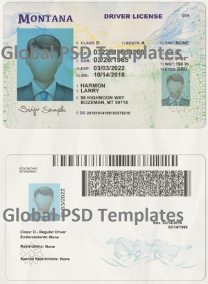 Montana Drivers License Template (scan)