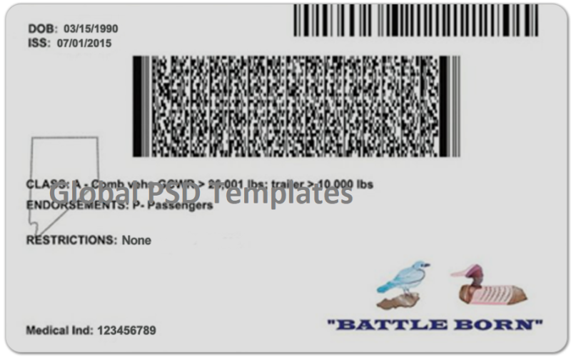 Nevada Drivers License Template (Front & Back) V2 - Image 2