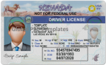Nevada Drivers License Template (Front & Back) V2
